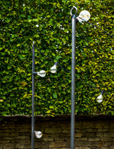 Garden Trading Festoon Lights Classic 20 Bulbs - Black