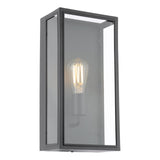 Dar Mazin Outdoor Wall Light Matt Black and Glass IP44