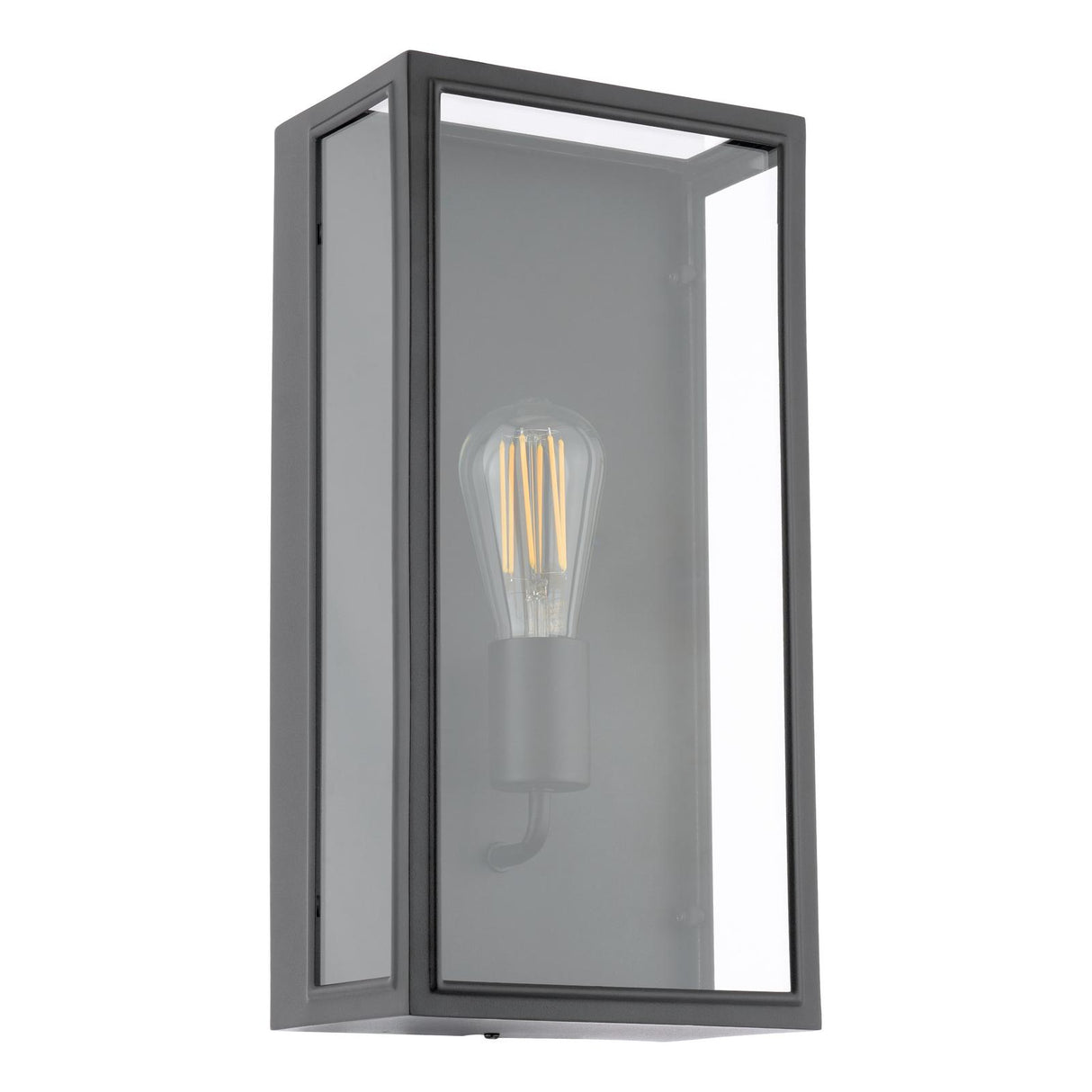 Dar Mazin Outdoor Wall Light Matt Black and Glass IP44