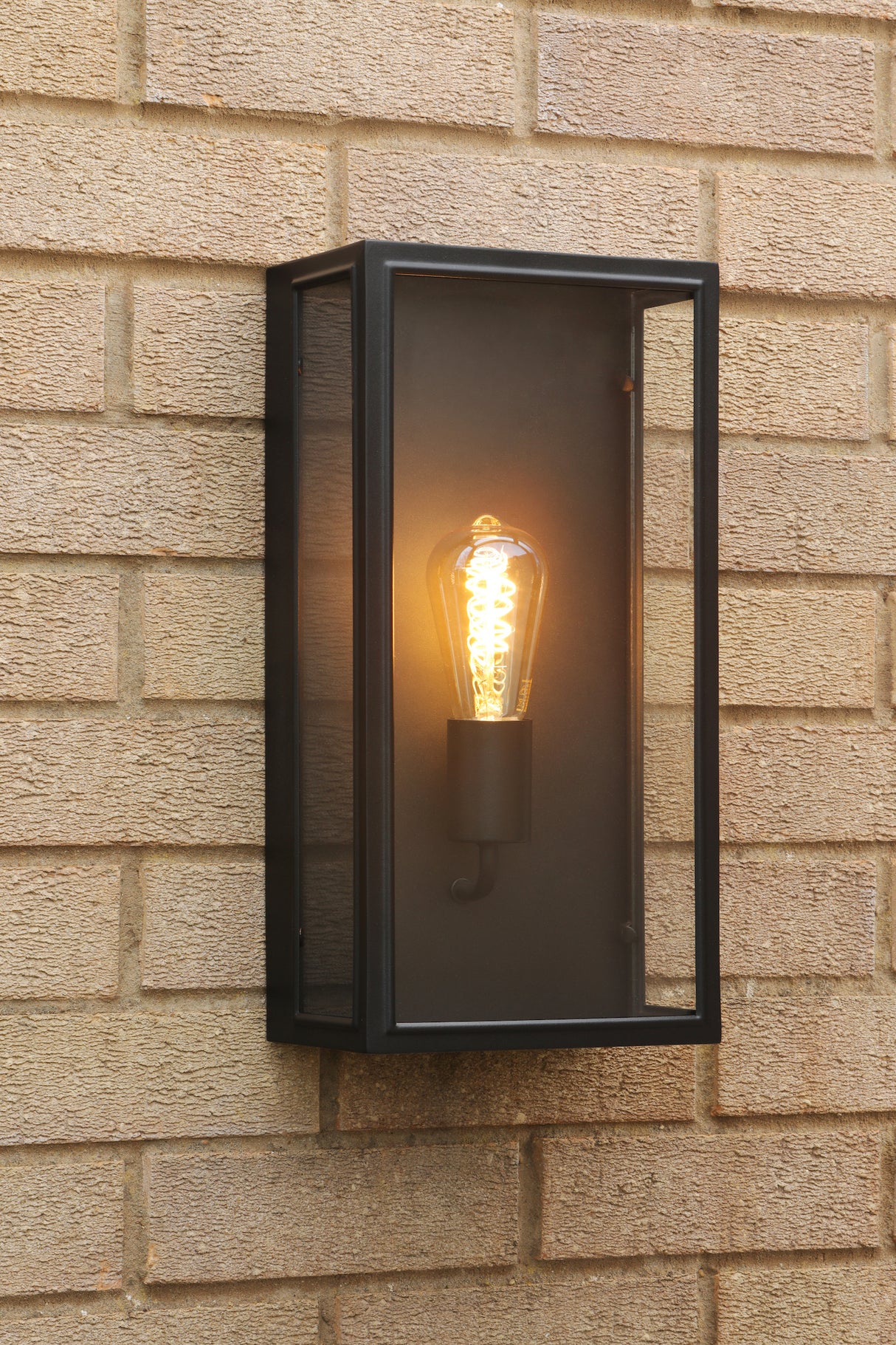 Dar Mazin Outdoor Wall Light Matt Black and Glass IP44