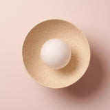Studio Haran Small Dawn Wall Light in Ceramic and Oak