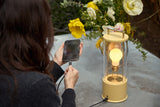 Tala Muse 2.0 Portable Lamp in Posset Yellow