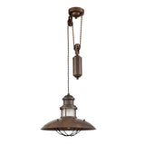 Franklite Newton Bronze Rise and Fall Pendant