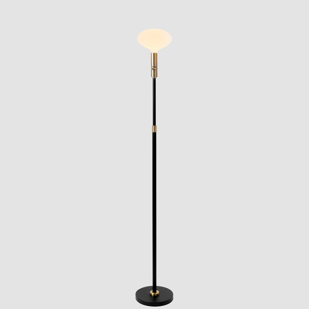 Tala Poise Adjustable Floor Lamp in Brass with Oval II LED bulb