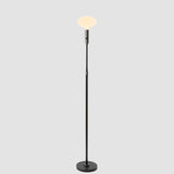 Tala Poise Adjustable Floor Lamp in Graphite with Oval II LED bulb