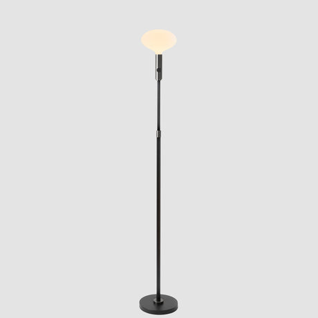 Tala Poise Adjustable Floor Lamp in Graphite with Oval II LED bulb