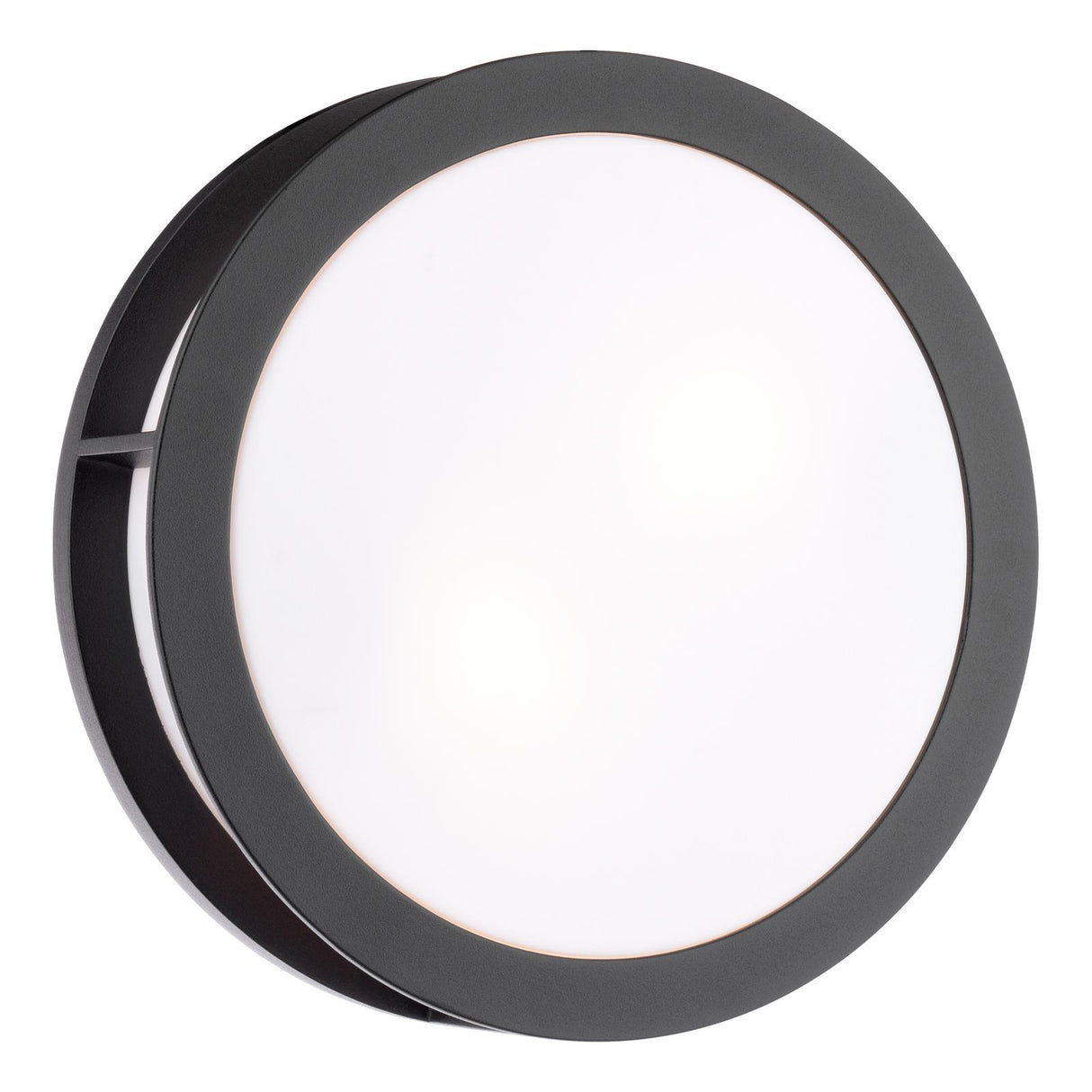 Dar Ratana Outdoor Wall Light Matt Black and Opal IP44