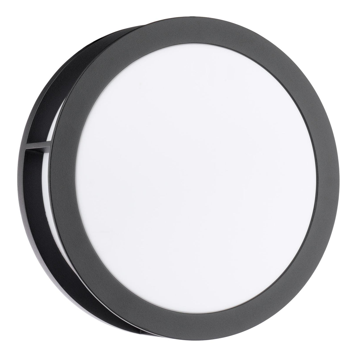 Dar Ratana Outdoor Wall Light Matt Black and Opal IP44