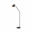 Modern black metal floor lamp with angled conical shade and round base