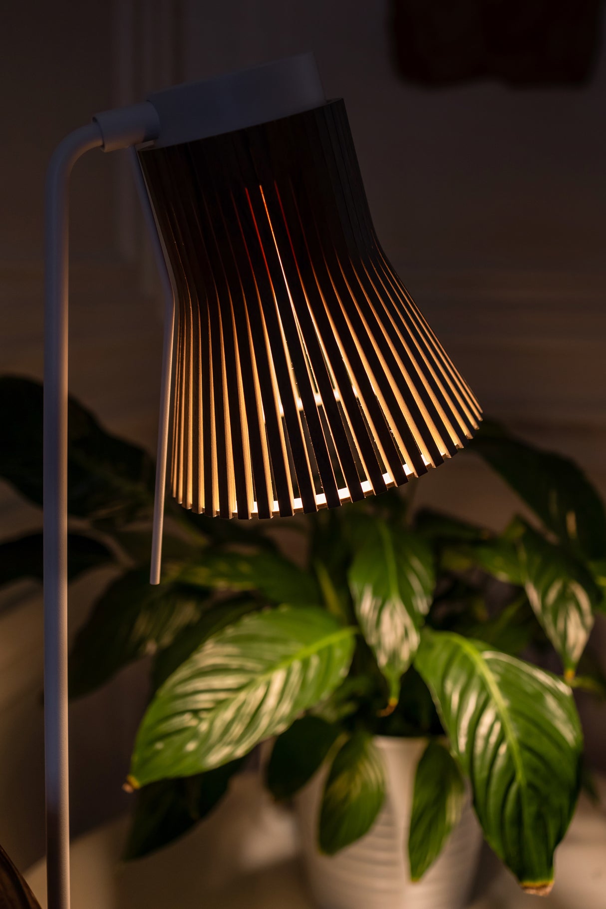 Secto Petite 4610 Floor Lamp