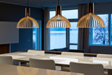 Secto Victo 4251 Pendant Small
