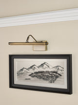 Dar Tyrus 35cm Picture Light Brushed Bronze LED