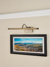 Dar Tyrus 50cm Picture Light Brushed Bronze LED