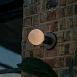 Tala Lochan Wall Light Graphite IP44