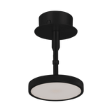 Umage Asteria Wall/Ceiling Spot