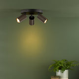Dar Yamis 3 Light Plate Spotlight Satin Bronze and Matt Black