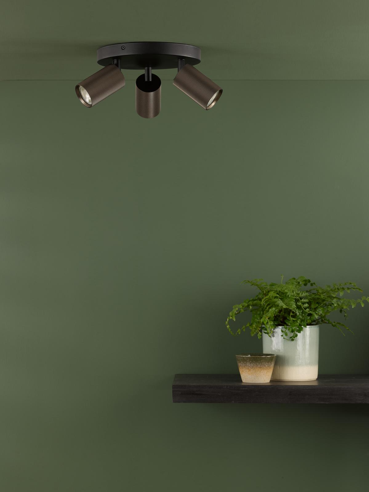 Dar Yamis 3 Light Plate Spotlight Satin Bronze and Matt Black