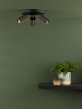 Dar Yamis 3 Light Plate Spotlight Satin Bronze and Matt Black