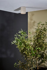 Astro Kos Round Matt Concrete Coastal Downlight