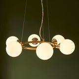 Amos Crib 6 Light Circular Chandelier Brushed Brass –  from Amos Lighting + Home