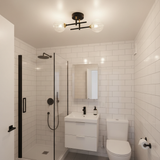 amos-lighting-Franklite-Abstraction-2-Light-Black-Brass-Small-Bathroom-Ceiling