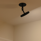 Umage Asteria Wall/Ceiling Spot