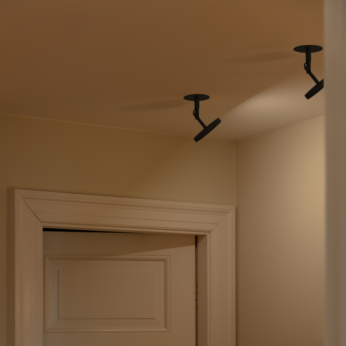 Umage Asteria Wall/Ceiling Spot