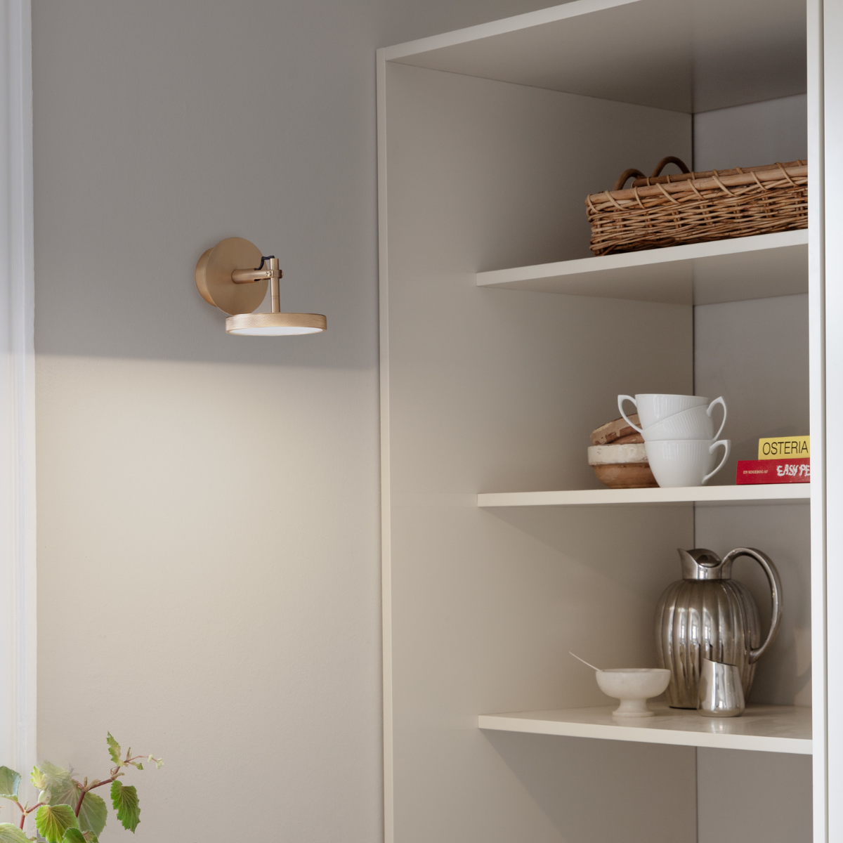 Umage Asteria Wall/Ceiling Spot