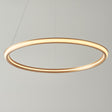 Amos Olympia D Satin Gold LED Pendant –  from Amos Lighting + Home