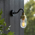 Amos Tethys Outdoor Wall Light Matt Black & Brushed Gold –  from Amos Lighting + Home