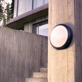 Norlys Bornholm LED Wall/Ceiling Light