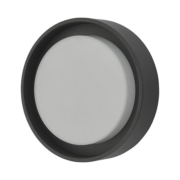 Dar Ralph Small Outdoor Wall Light Anthracite IP65 LED –  from Amos Lighting + Home