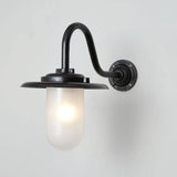 Davey Lighting Black Iron Exterior Swan Neck Wall Light 7677, Opal Glass –  from Amos Lighting + Home