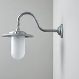 Davey Lighting Galvanised Exterior Swan Neck Wall Light 7677, Clear Glass –  from Amos Lighting + Home