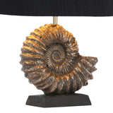 David Hunt Ammonite Table Lamp Bronze –  from Amos Lighting + Home