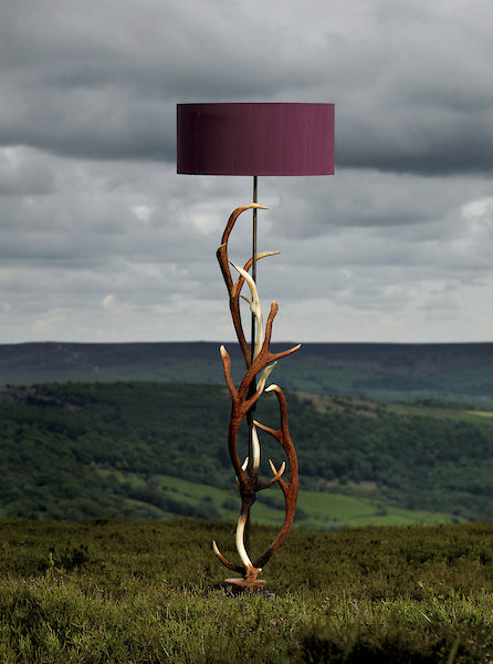 David Hunt Antler Rustic Floor Lamp with Shade –  from Amos Lighting + Home