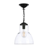 David Hunt Upton Small Black Pendant with Clear Glass –  from Amos Lighting + Home