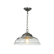 David Hunt Webster Clear Glass &amp; Satin Chrome Pendant –  from Amos Lighting + Home