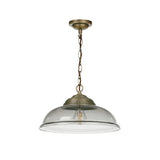 David Hunt Webster Smoked Glass &amp; Antique Brass Pendant –  from Amos Lighting + Home