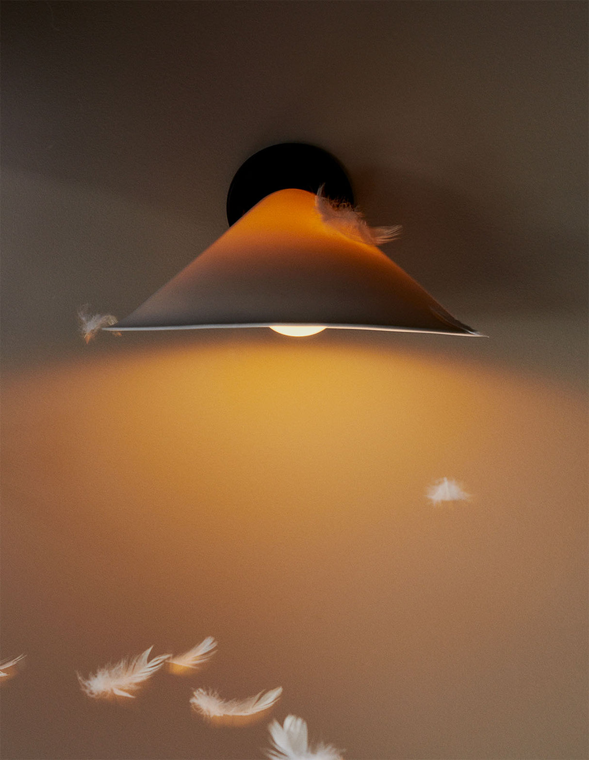 DCW Editions PLUME Porceline Wall Light –  from Amos Lighting + Home