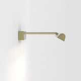 Astro Renoir 680 Matt Brushed Brass Interior Picture Light