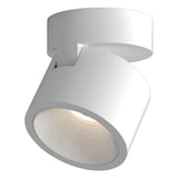 Astro Lynx Matt White Interior Spotlight
