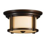 Feiss Merrill 2 Light Flush