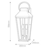 Hinkley Dawson 1 lt Outdoor Large Wall Lantern