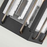 Hinkley Fitzgerald 2 Light Medium Wall Lantern