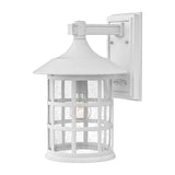 Hinkley Freeport 1lt Large Wall Lantern White