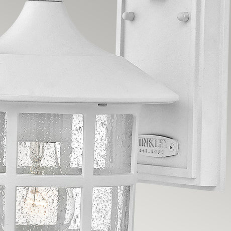 Hinkley Freeport 1lt Medium Wall Lantern White