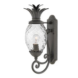 Hinkley Plantation 1lt Medium Wall Lantern Black