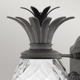 Hinkley Plantation 1lt Medium Wall Lantern Black