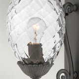 Hinkley Plantation 1lt Medium Wall Lantern Black